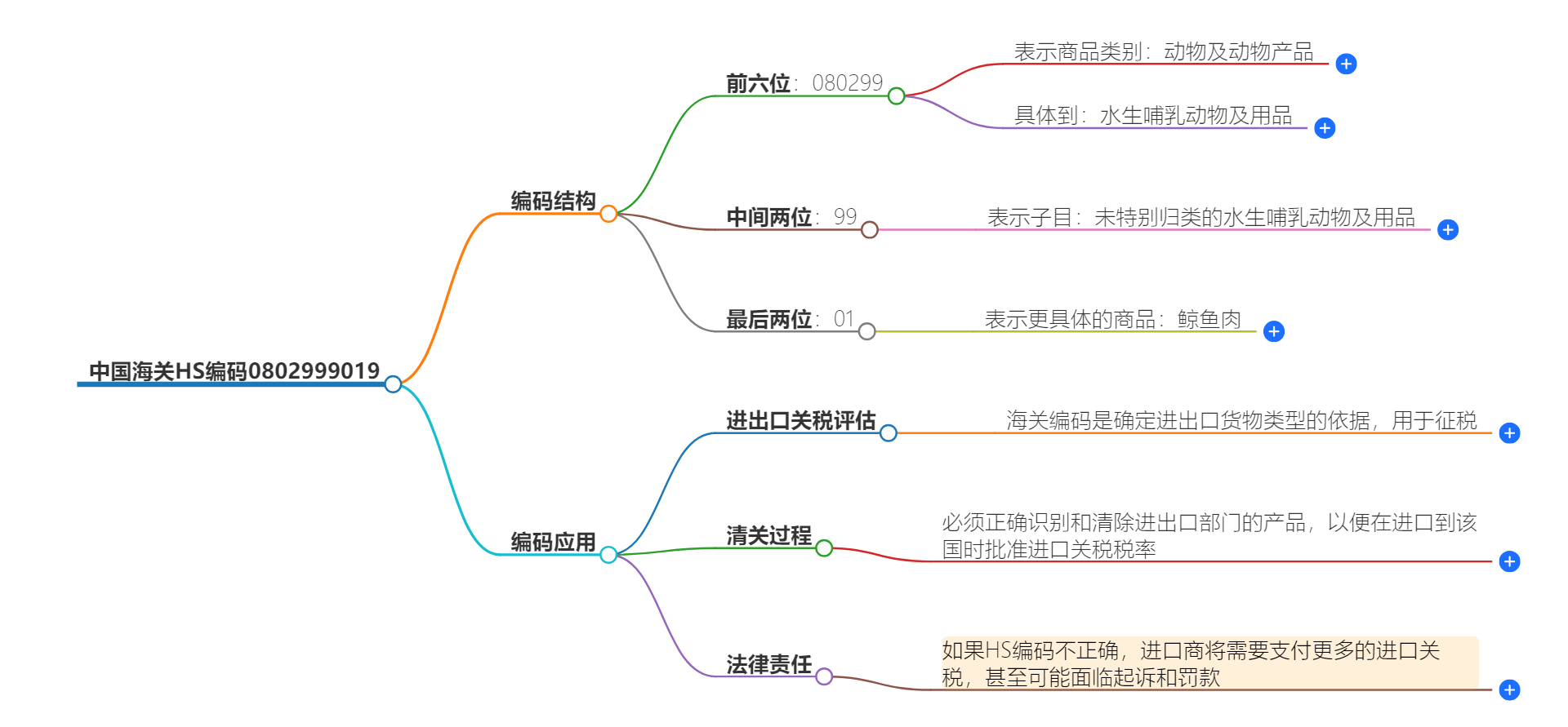 中国海关HS编码0802999019的详细描述和相关信息