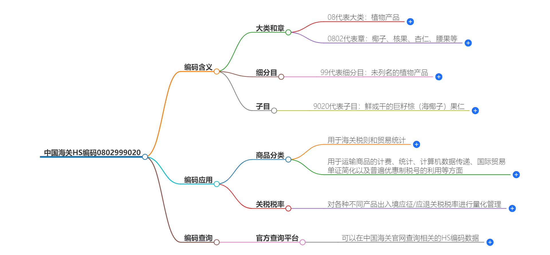 中国海关HS编码0802999020的详细描述和相关信息